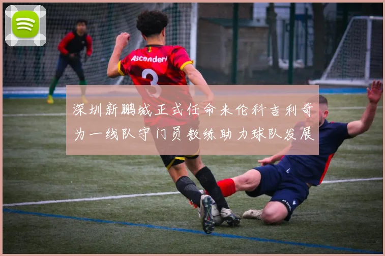 深圳新鹏城正式任命米伦科吉利奇为一线队守门员教练助力球队发展